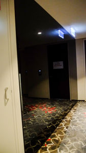DSCF3869