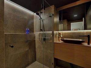 ShowerScreens_10mmHinged_CornerGusset_BlackHardware_ShavingCabinet_DaniLousieDesign